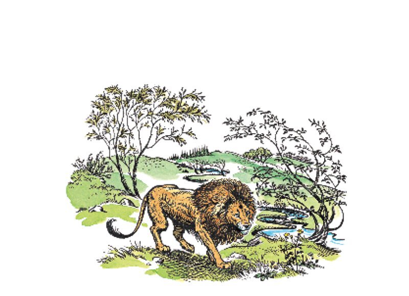 Хроники Нарнии. Начало истории - i_023.jpg