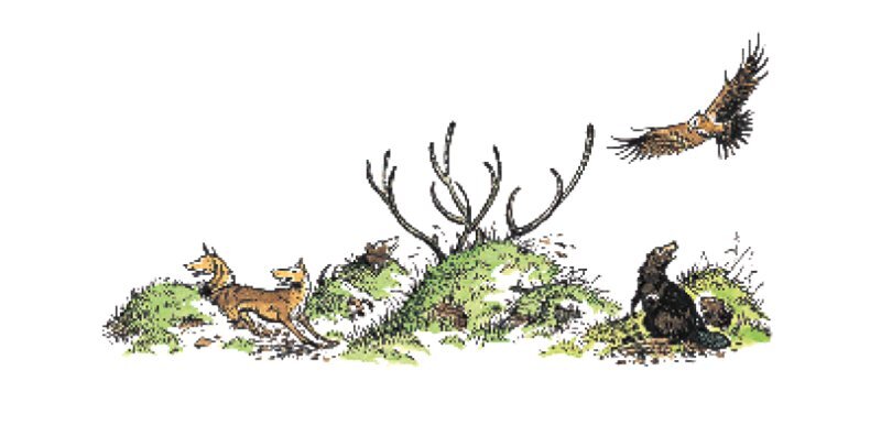 Хроники Нарнии. Начало истории - i_026.jpg