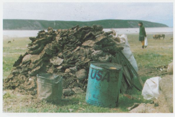 От -50 до +50: автостопом и пешком по России, Азии, Африке - i_007.jpg