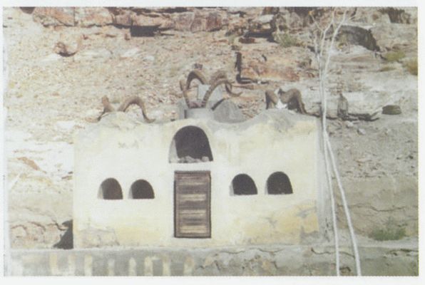 От -50 до +50: автостопом и пешком по России, Азии, Африке - i_011.jpg