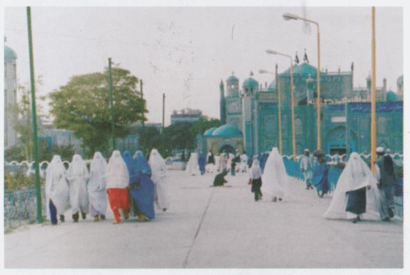 От -50 до +50: автостопом и пешком по России, Азии, Африке - i_018.jpg