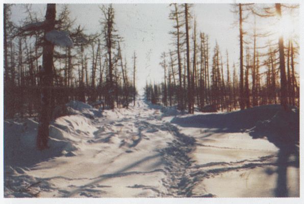 От -50 до +50: автостопом и пешком по России, Азии, Африке - i_028.jpg