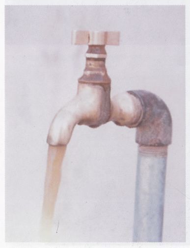 От -50 до +50: автостопом и пешком по России, Азии, Африке - i_036.jpg