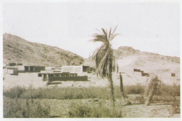 От -50 до +50: автостопом и пешком по России, Азии, Африке - i_039.jpg