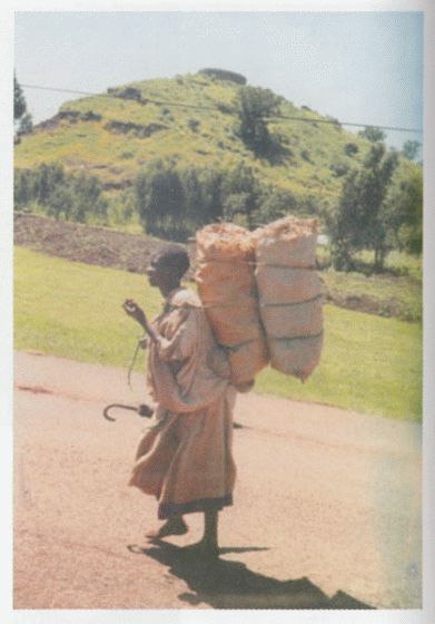 От -50 до +50: автостопом и пешком по России, Азии, Африке - i_042.jpg