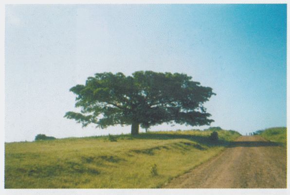 От -50 до +50: автостопом и пешком по России, Азии, Африке - i_045.jpg