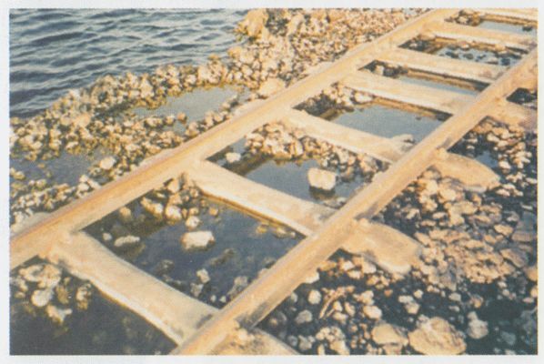 От -50 до +50: автостопом и пешком по России, Азии, Африке - i_046.jpg