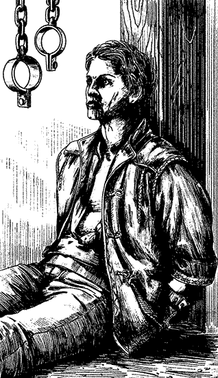 Собрание сочиннений Яна Ларри. Том первый - i_024.png