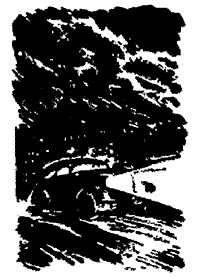 Собрание сочиннений Яна Ларри. Том первый - i_040.png