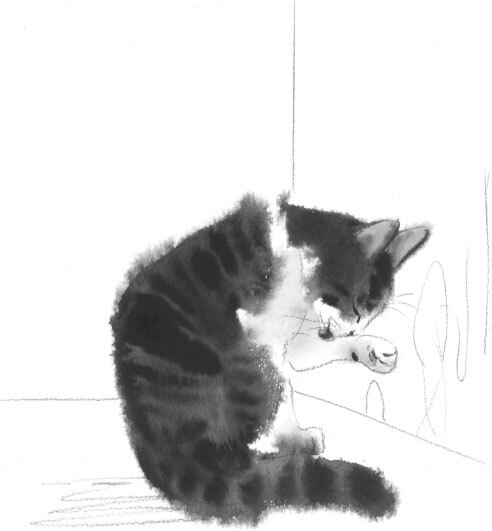 Прощание с котом (сборник) - i_015.jpg