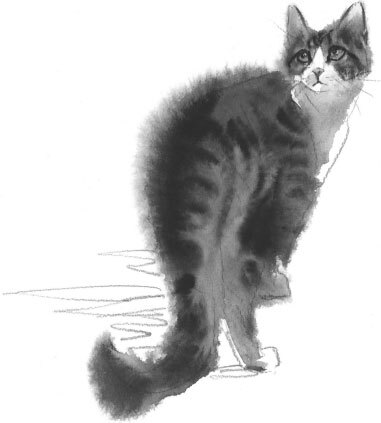 Прощание с котом (сборник) - i_018.jpg