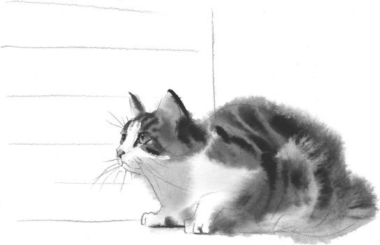 Прощание с котом (сборник) - i_019.jpg