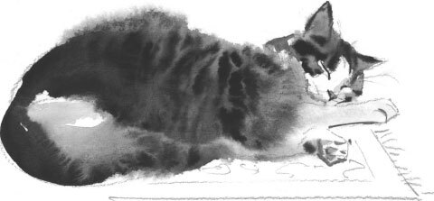 Прощание с котом (сборник) - i_038.jpg