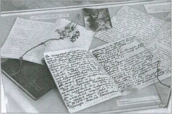 Эпоха Брежнева: советский ответ на вызовы времени, 1964-1982 - i_024.jpg