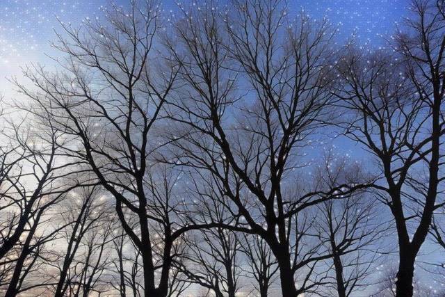 "Фантастика 2025-16". Компиляция. Книги 1-14 (СИ) - i_016.jpg