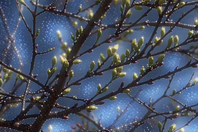 "Фантастика 2025-16". Компиляция. Книги 1-14 (СИ) - i_017.jpg