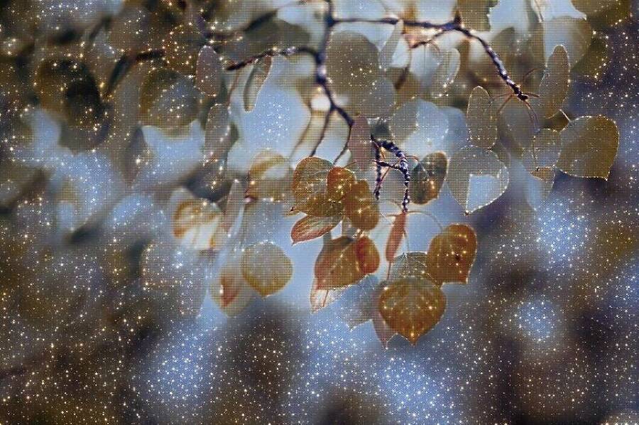 "Фантастика 2025-16". Компиляция. Книги 1-14 (СИ) - i_039.jpg