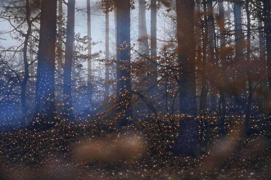 "Фантастика 2025-16". Компиляция. Книги 1-14 (СИ) - i_041.jpg