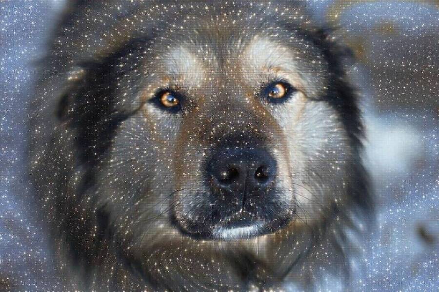 "Фантастика 2025-16". Компиляция. Книги 1-14 (СИ) - i_044.jpg