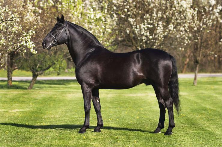 "Фантастика 2025-16". Компиляция. Книги 1-14 (СИ) - i_070.jpg