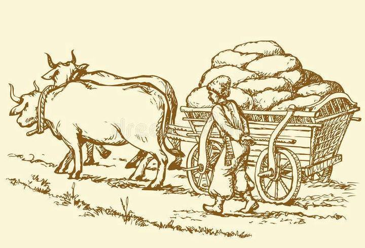 "Фантастика 2025-16". Компиляция. Книги 1-14 (СИ) - i_073.jpg