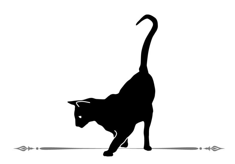 Магическая Российская империя. Комплект из 3 книг - i_003.jpg