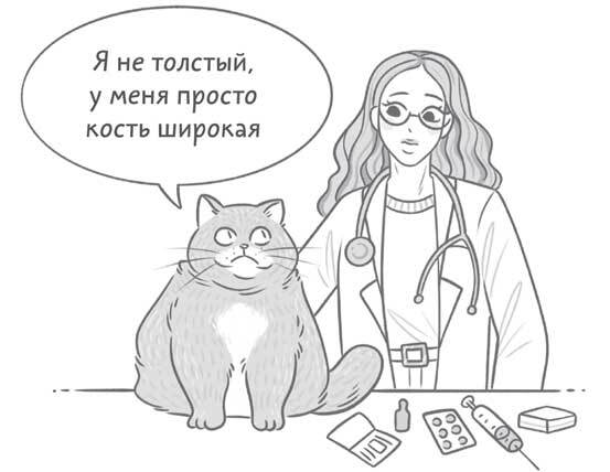 Чем и как кормить кошку, чтобы не навредить - i_002.jpg