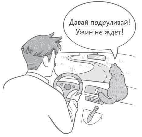 Чем и как кормить кошку, чтобы не навредить - i_003.jpg