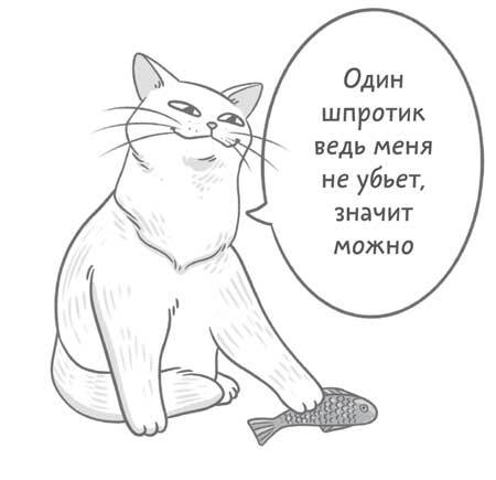 Чем и как кормить кошку, чтобы не навредить - i_004.jpg