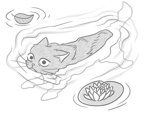 Чем и как кормить кошку, чтобы не навредить - i_005.jpg