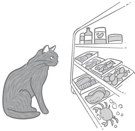 Чем и как кормить кошку, чтобы не навредить - i_009.jpg