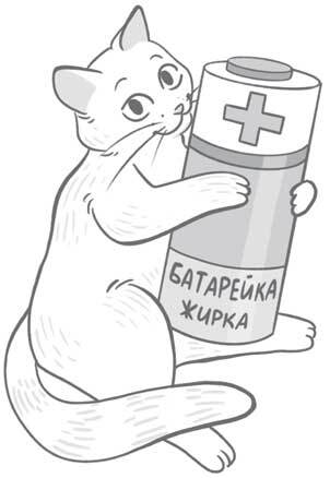 Чем и как кормить кошку, чтобы не навредить - i_010.jpg