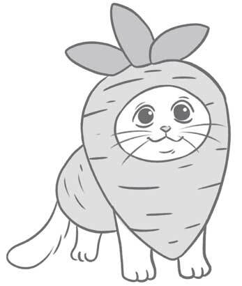 Чем и как кормить кошку, чтобы не навредить - i_013.jpg