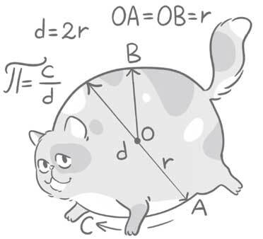 Чем и как кормить кошку, чтобы не навредить - i_028.jpg