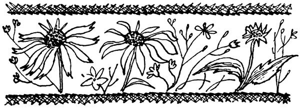 Каждой былинке брат - _02.jpg