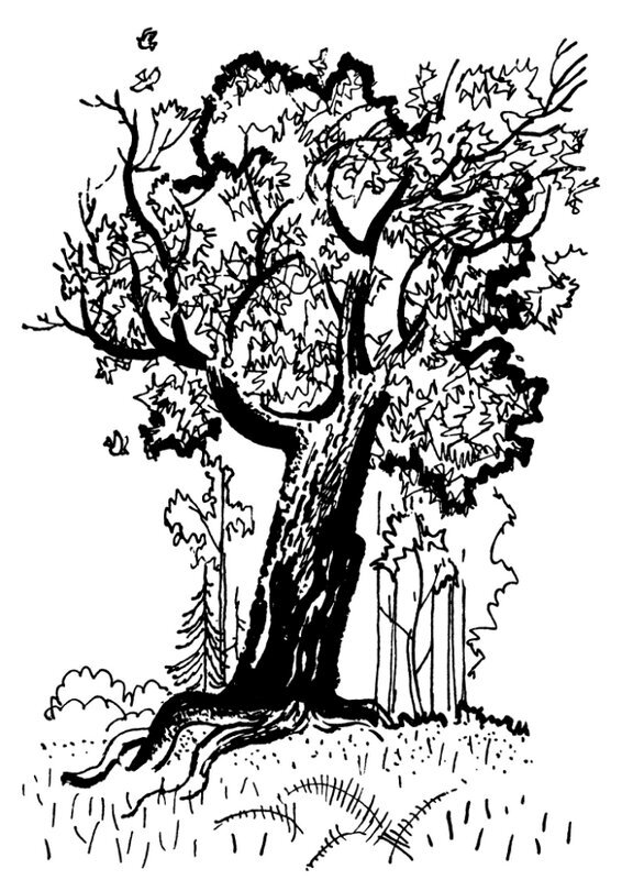 Каждой былинке брат - _03.jpg