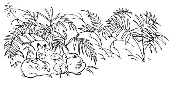 Каждой былинке брат - _06.jpg