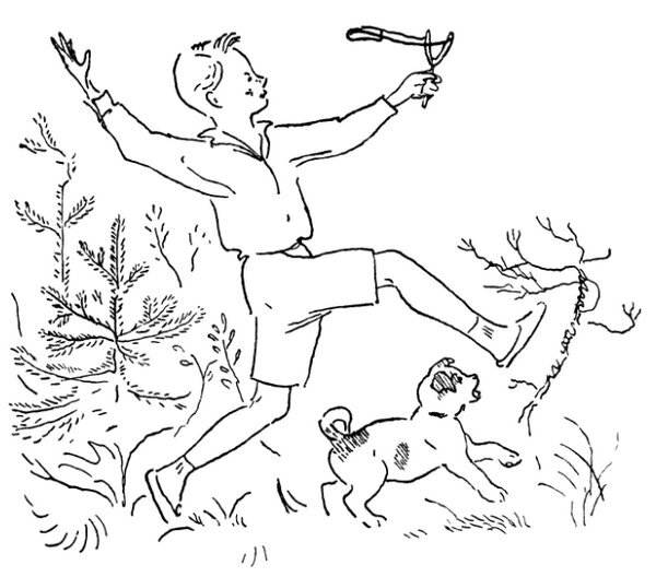 Каждой былинке брат - _08.jpg