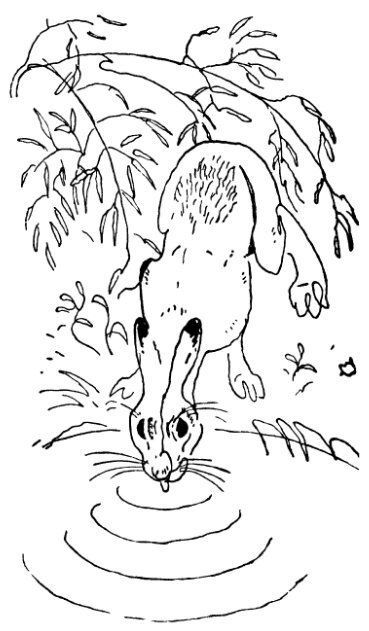 Каждой былинке брат - _09.jpg