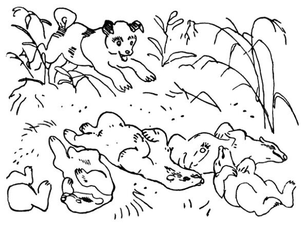 Каждой былинке брат - _10.jpg