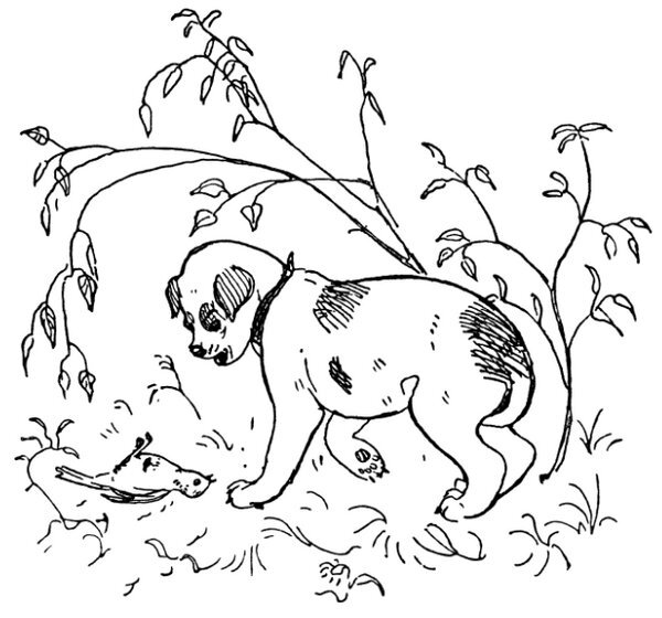 Каждой былинке брат - _11.jpg