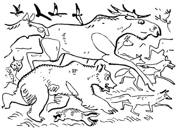 Каждой былинке брат - _12.jpg