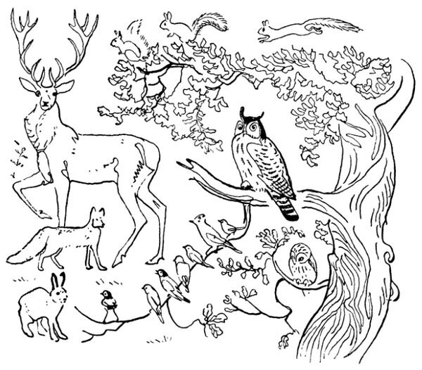 Каждой былинке брат - _14.jpg