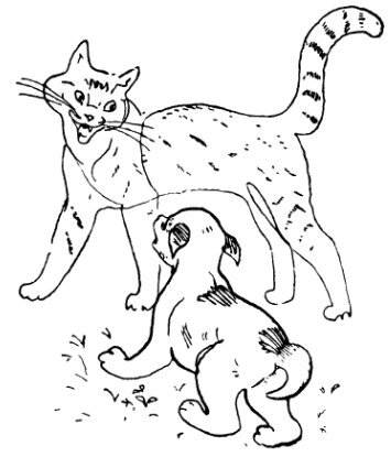 Каждой былинке брат - _18.jpg