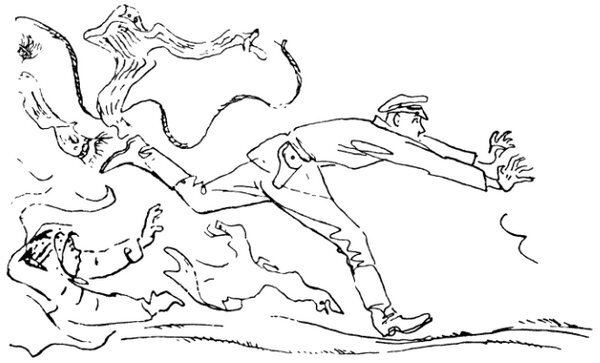 Каждой былинке брат - _21.jpg