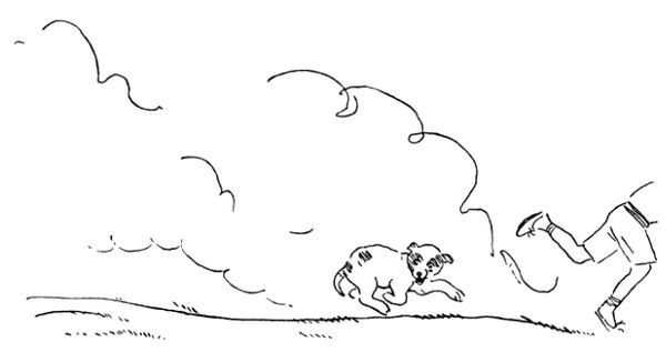 Каждой былинке брат - _22.jpg