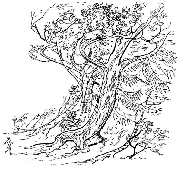 Каждой былинке брат - _23.jpg