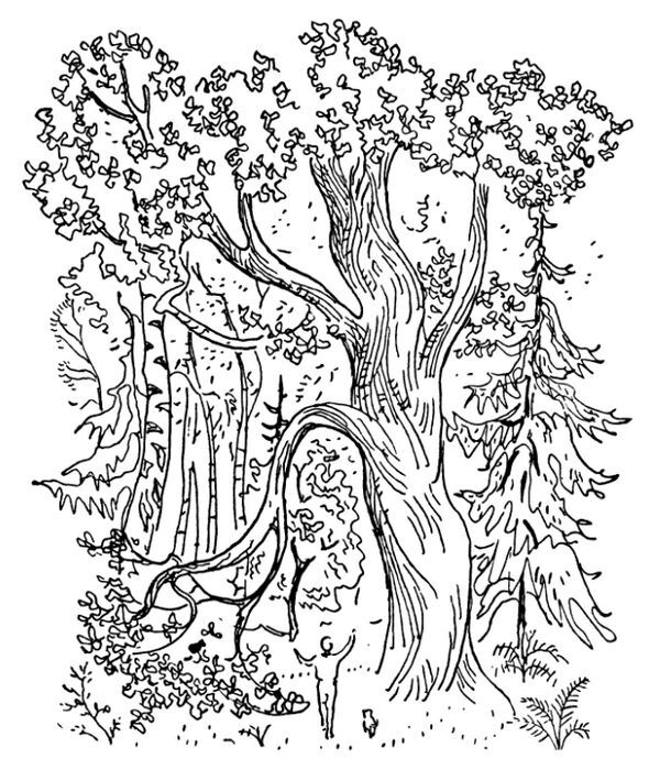 Каждой былинке брат - _25.jpg