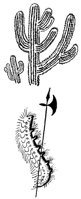 Каждой былинке брат - _28.jpg