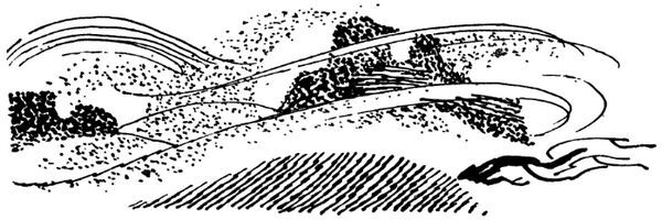 Каждой былинке брат - _35.jpg